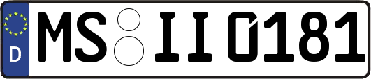 MS-II0181