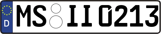 MS-II0213