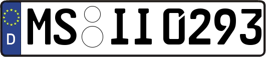 MS-II0293