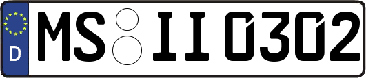 MS-II0302
