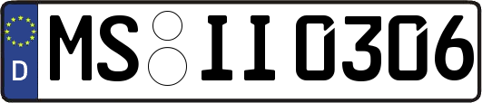 MS-II0306