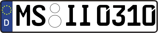 MS-II0310