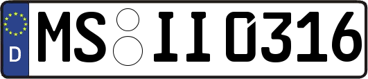 MS-II0316