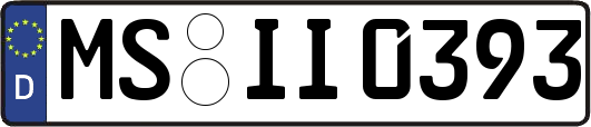 MS-II0393