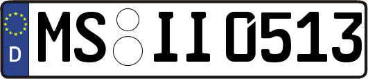 MS-II0513