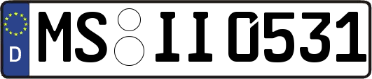 MS-II0531