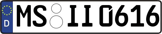 MS-II0616