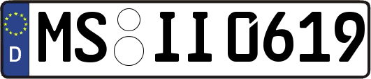 MS-II0619