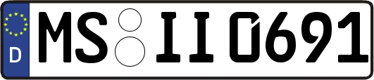 MS-II0691