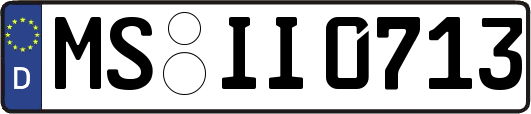 MS-II0713