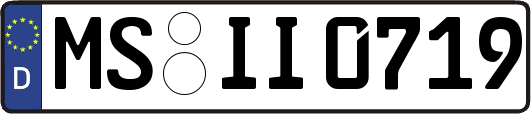 MS-II0719