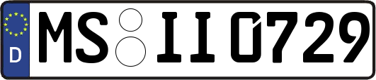 MS-II0729