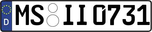 MS-II0731