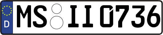 MS-II0736