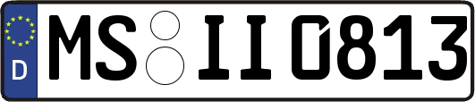 MS-II0813