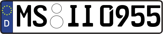 MS-II0955