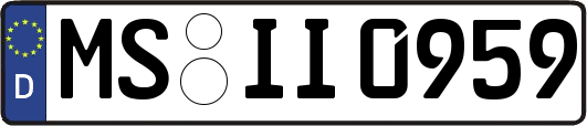 MS-II0959