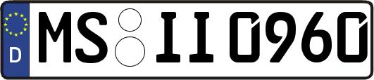 MS-II0960