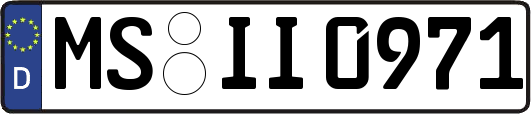 MS-II0971