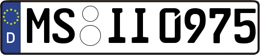 MS-II0975