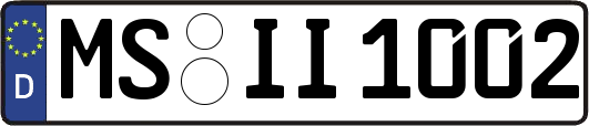 MS-II1002