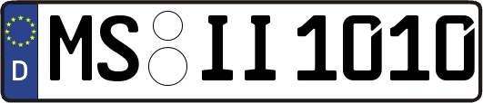 MS-II1010
