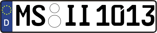 MS-II1013