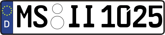 MS-II1025