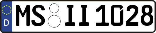 MS-II1028