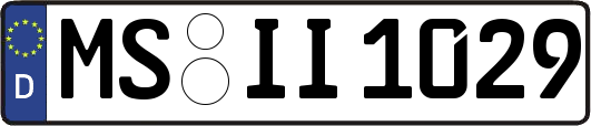 MS-II1029