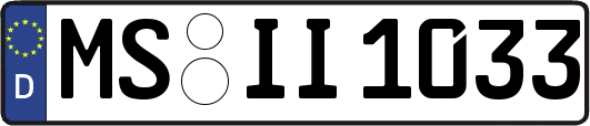 MS-II1033