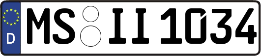 MS-II1034