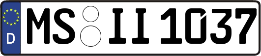 MS-II1037