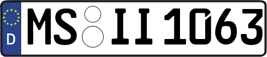 MS-II1063
