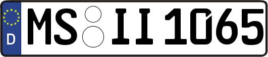 MS-II1065