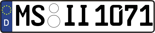 MS-II1071