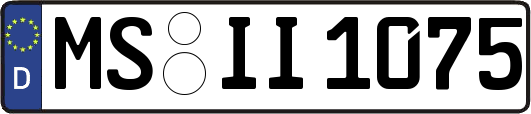 MS-II1075