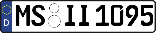 MS-II1095