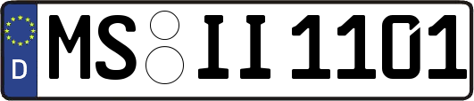 MS-II1101