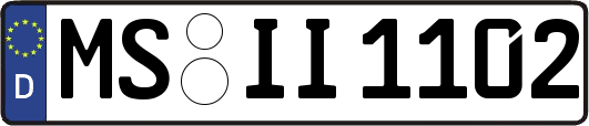 MS-II1102