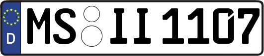 MS-II1107