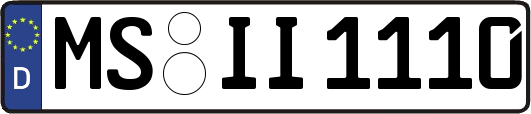 MS-II1110