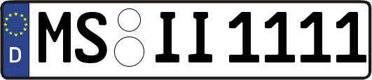 MS-II1111