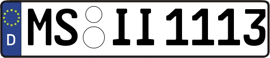MS-II1113