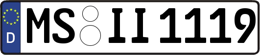 MS-II1119