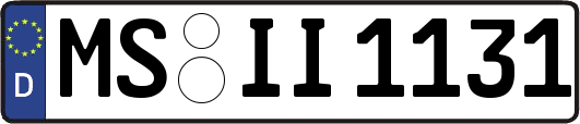 MS-II1131