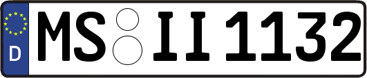 MS-II1132