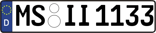 MS-II1133