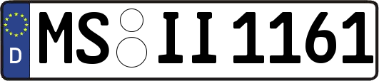 MS-II1161