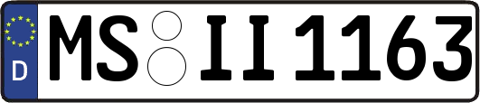 MS-II1163